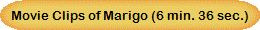Movie Clips of Marigo (6 min. 36 sec.)